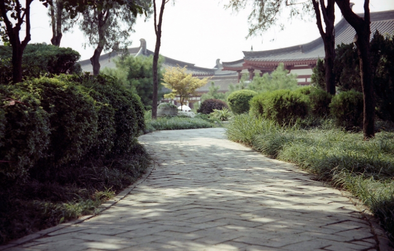 gardens, Xian China 3.jpg